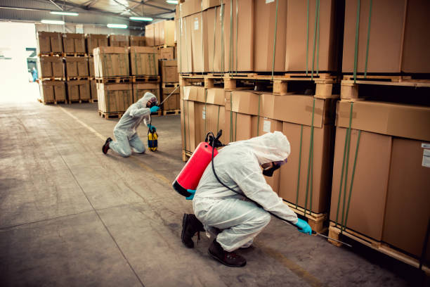 Best Flea Control Services  in Enterprise, AL