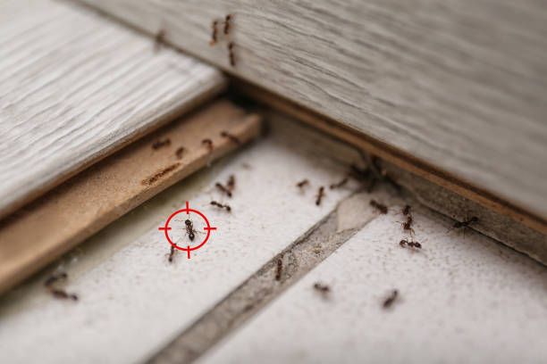 Pest Prevention Services in Enterprise, AL