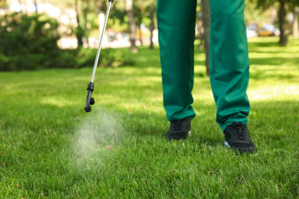 Best Flea Control Services  in Enterprise, AL