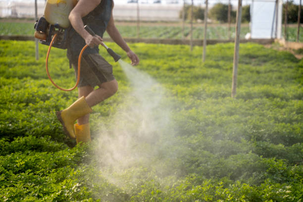Best Pest Control Near Me  in Enterprise, AL