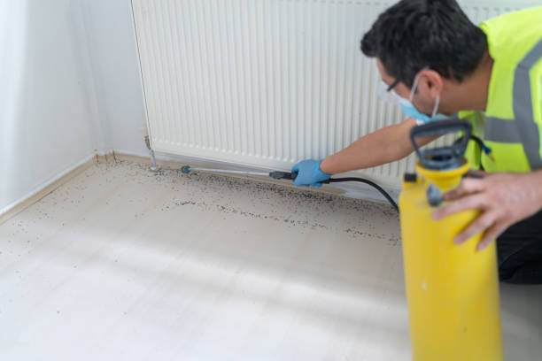 Best Affordable Pest Control Services  in Enterprise, AL